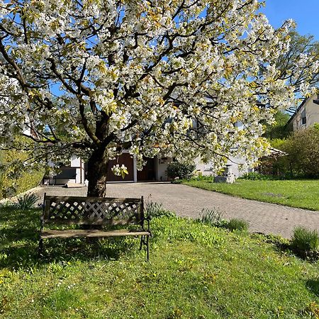 Ferienwohnung Am Kirschbaum Uhldingen-Muehlhofen Exterior photo